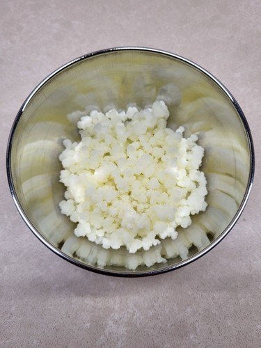 Milchpilz milchkefir - milchpilz,,