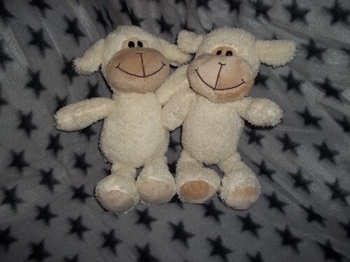 Kuscheltier ferrero - 2x,