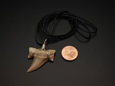 Haifischzahn Kette mit Band