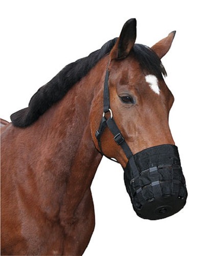 Pferdemaulkorb nylon maulkorb - pferdemaulkorb,