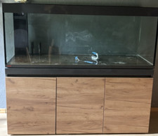 EHEIM Incpiria 530 Aquarium 530L mit Unterschrank & Außenfilter – Top Zustand