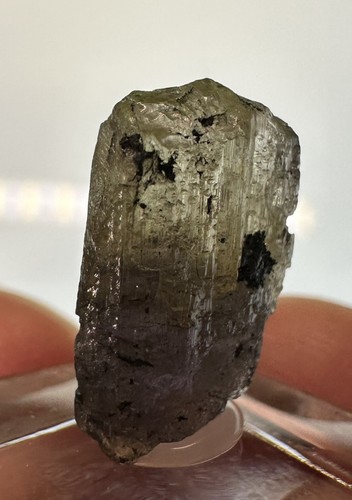 Tansanit tanzanit edelstein - tanzanit,