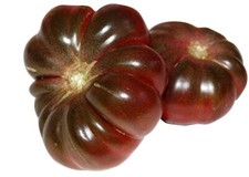 Tomate Purple Calabash 10