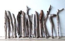 Treibholz Schwemmholz