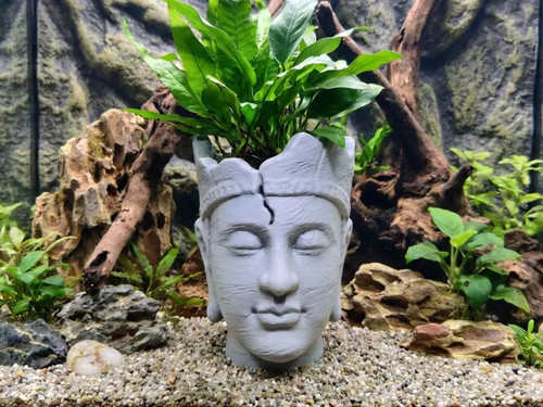 Römisches gesicht terrarium - gesicht,