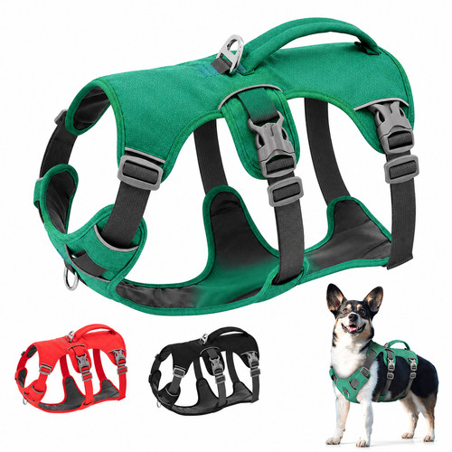 Hundegeschirr