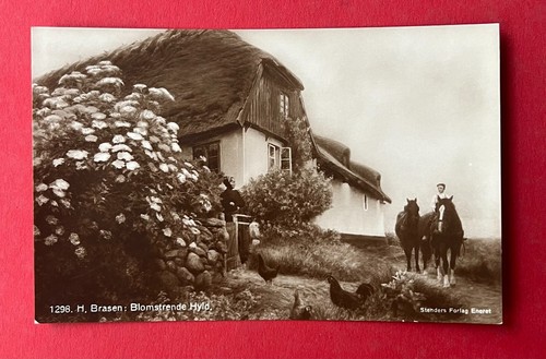 Foto dänemark 1925 - ak, um