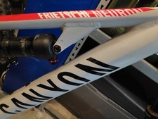 Custom Canyon Strive, Nerve