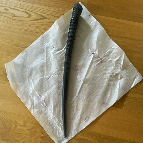 Shofar horn widder 82 - horn,,