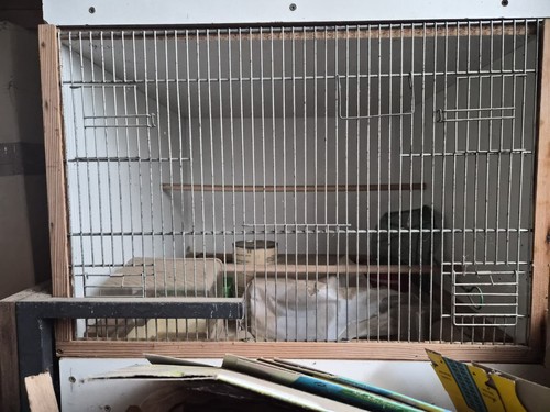Zuchtbox für vögel sehr - für,