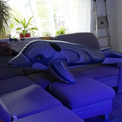 Wehncke aufblasbarer delfin - wehncke,