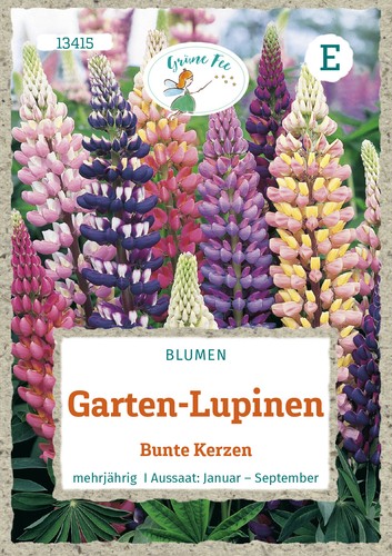 Garten lupinen bunte - bunte, kerzen