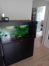 Juwel Rio 180 Aquarium, 180 Liter, Unterschrank, LED-Beleuchtung
