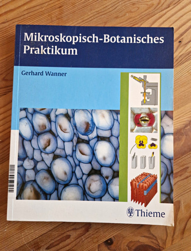 Thieme