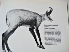 Vom Höhlenbären, Landgjaid