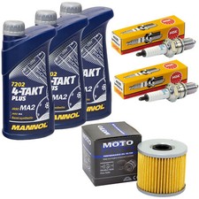 Inspektion Set Öl 3L für