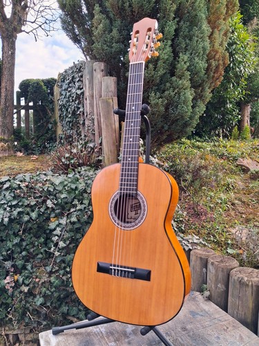 189 akustik gitarre hondo - gitarre,