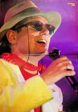 BP1552 Bravo - Poster - Falco