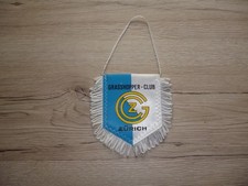 Wimpel Grasshopper Zürich