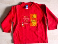 Disney Winnie the Pooh Flies Pulli Gr. 116 rot weich warm TOP Zustand Maße drin