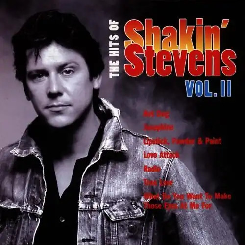 Shakin stevens the - shakin',