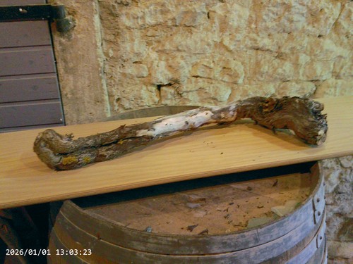 Weinstock herbstdeko holz - weinstock,