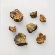 7 Goldene Bernsteinfarbende