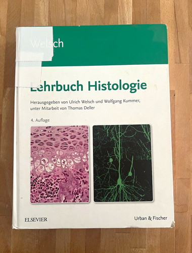 Urban fischer welsch - urban,