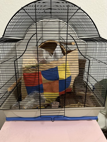 Käfig für nagetiere - käfig,