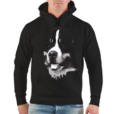 Kapuzenpullover Sweatshirt
