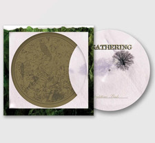 THE GATHERING Nighttime Birds