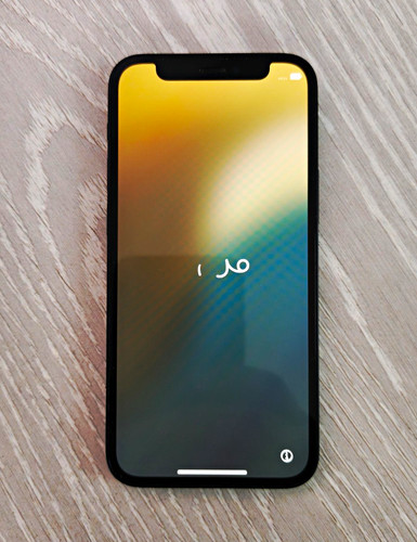 Apple iphone mini schwarz - apple,