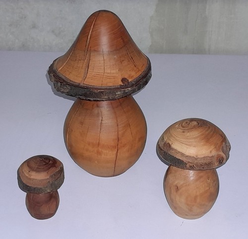 Pilze holzpilze gedrechselt - pilze,