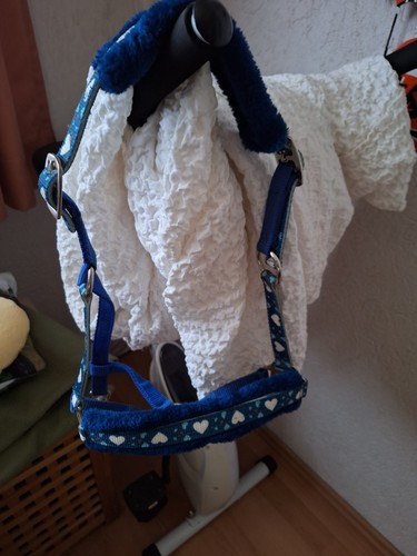 Shetty halfter verkaufen - shetty,