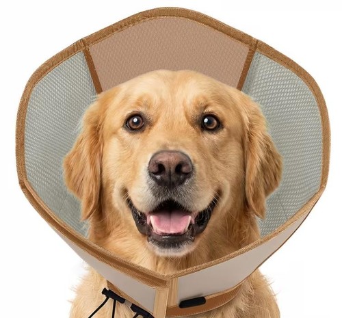 Hundekragen weich für - hundekragen,