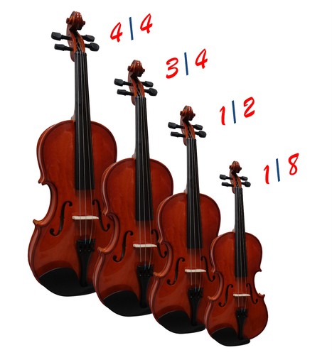 Violine geige natur - natur,