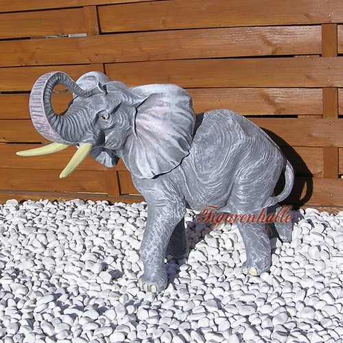 Afrikanischer elefant - afrikanischer,