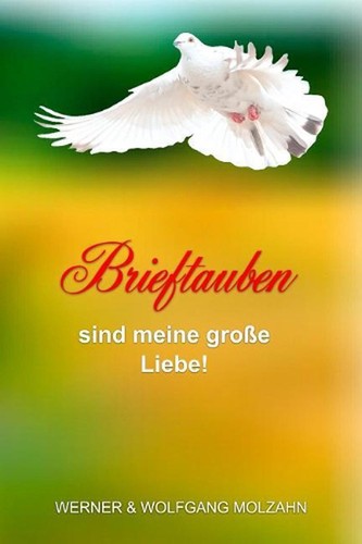 Brieftauben sind meine - brieftauben, groe