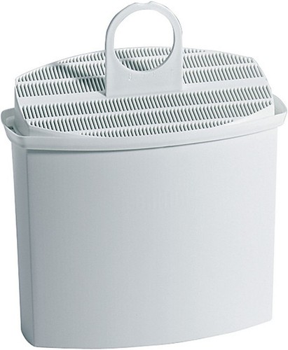 BRAUN