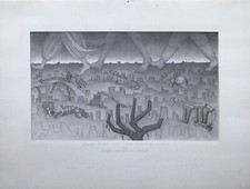 Erich Hahn Berlin Blick in die