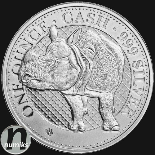 Nashorn rhino 1 - nashorn, /