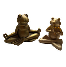 2 x Yoga Frog Meditation
