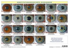 Konstitutionsorientierte Irisdiagnose A4 Tafel