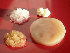 Kontrol Betrieb 4 Pilze