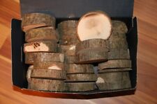 ca. 2950 g trockene  Astscheiben (Hasel) Basteln Deko Floristik Advent-unbenutzt