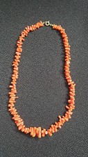 Kette koralle astkoralle - kette,