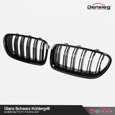 Densieg Glanz Schwarz