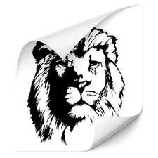 Löwe Afrika Auto Wand