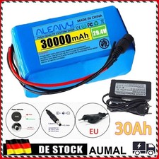 E-Bike Akku 24V 30Ah Li-Ion Batterie 7S3P Elektrofahrrad Akkupack + Ladegerät DE