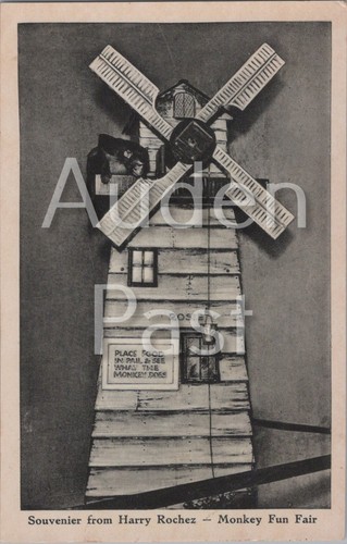 Harry rochez affe kirmes - rochez,